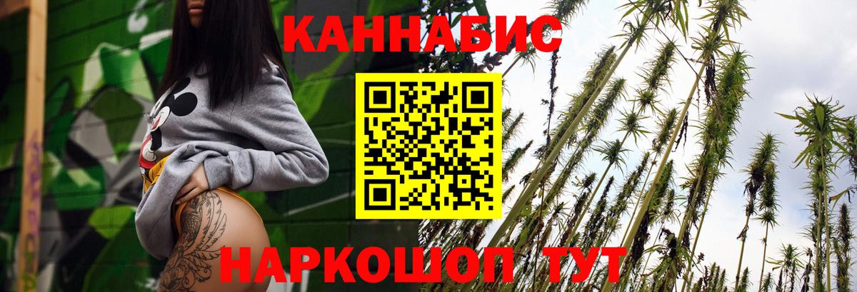 Бошки Шишки марихуана Грозный